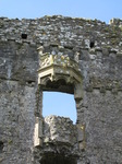 SX03167 Detail of Carew castle.jpg